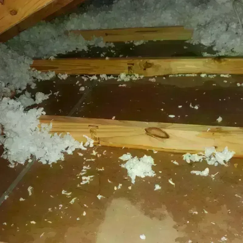 Attic Water Damage in Norway, ME