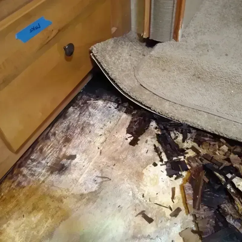 Wood Floor Water Damage in Norway, ME